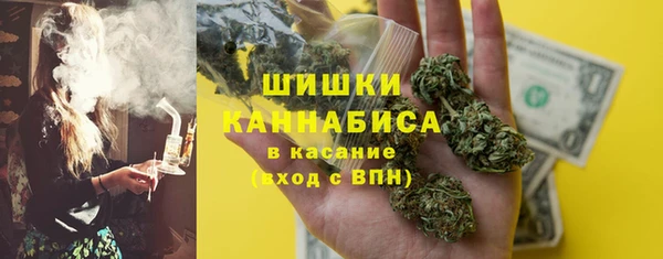хмурый Новозыбков