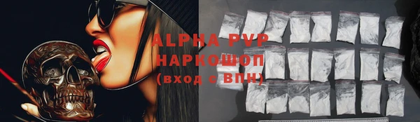 хмурый Новозыбков
