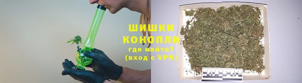 хмурый Новозыбков