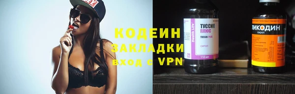хмурый Новозыбков