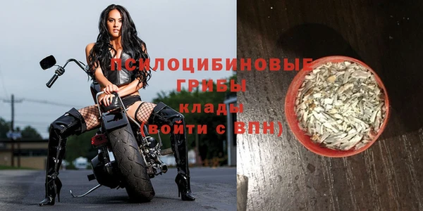марки nbome Новокубанск