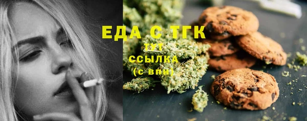 хмурый Новозыбков
