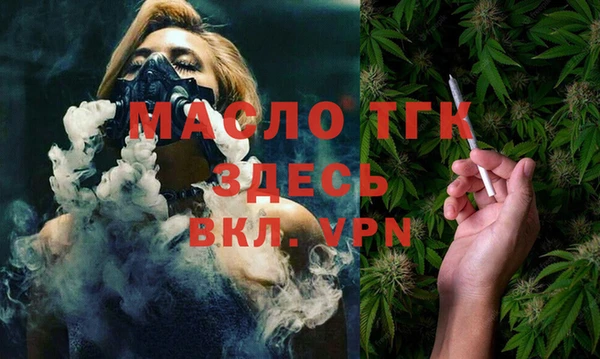 хмурый Новозыбков