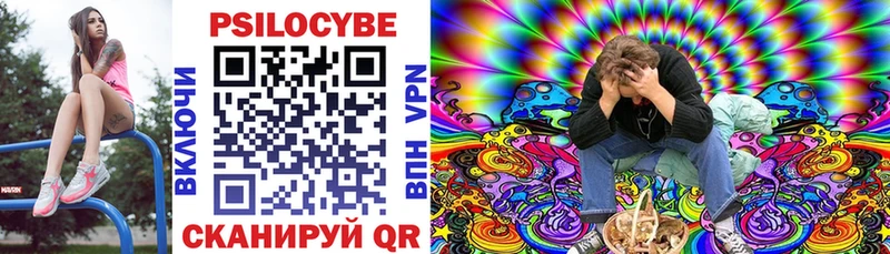 kraken ССЫЛКА  Бакал  Галлюциногенные грибы Magic Shrooms 