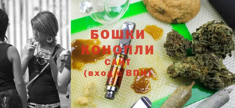 Каннабис White Widow  гидра ТОР  Бакал 