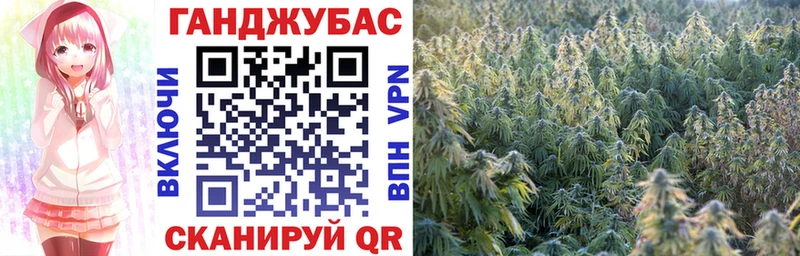 что такое наркотик  Бакал  Бошки марихуана OG Kush 